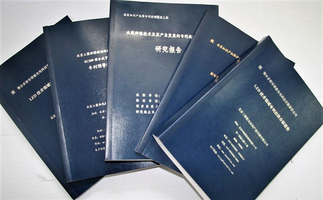 專利預(yù)警及產(chǎn)業(yè)研究報告